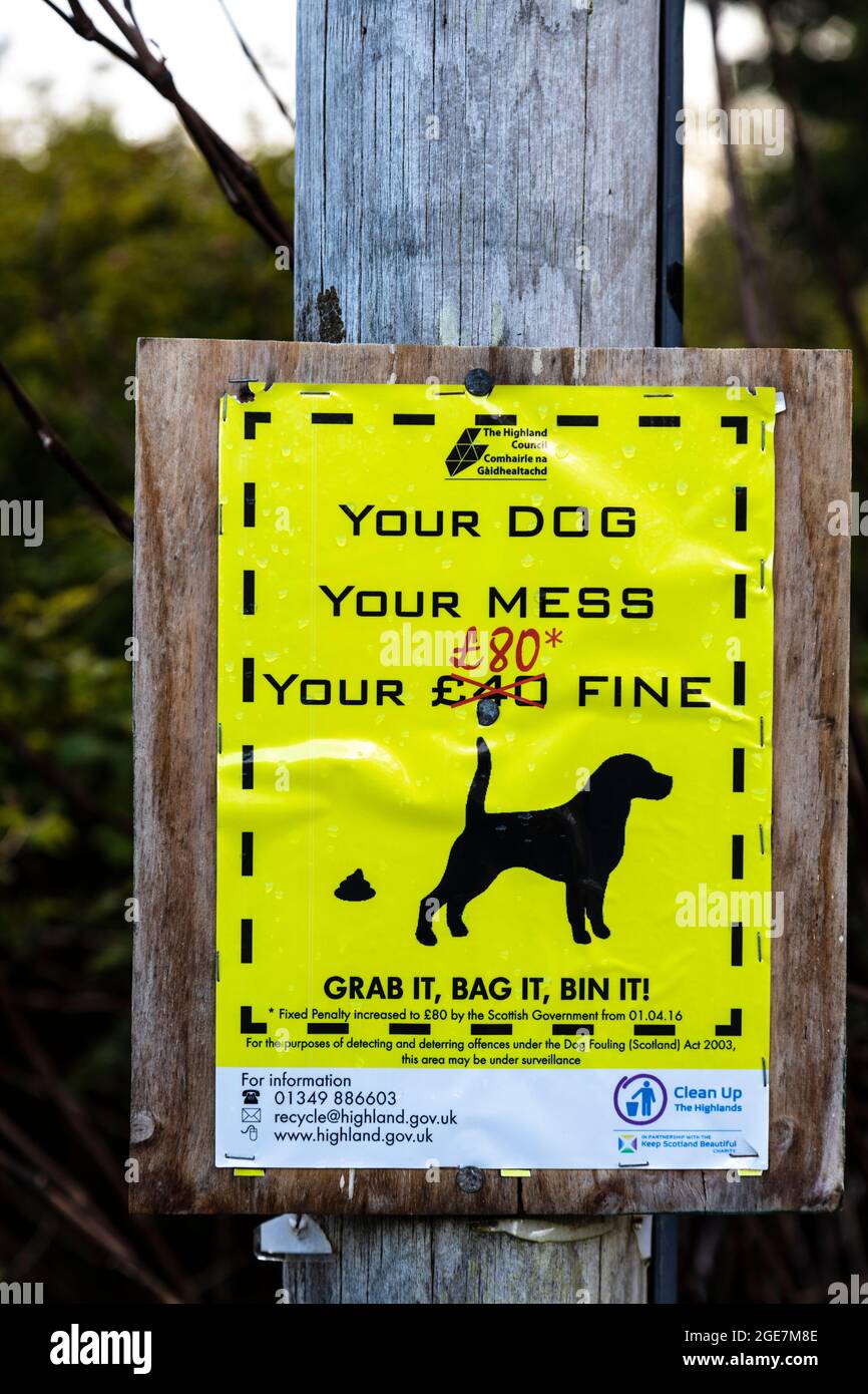 Hi-Viz yellow sign warning against dog fouling, Isle of Skye, Scotland. Stock Photo