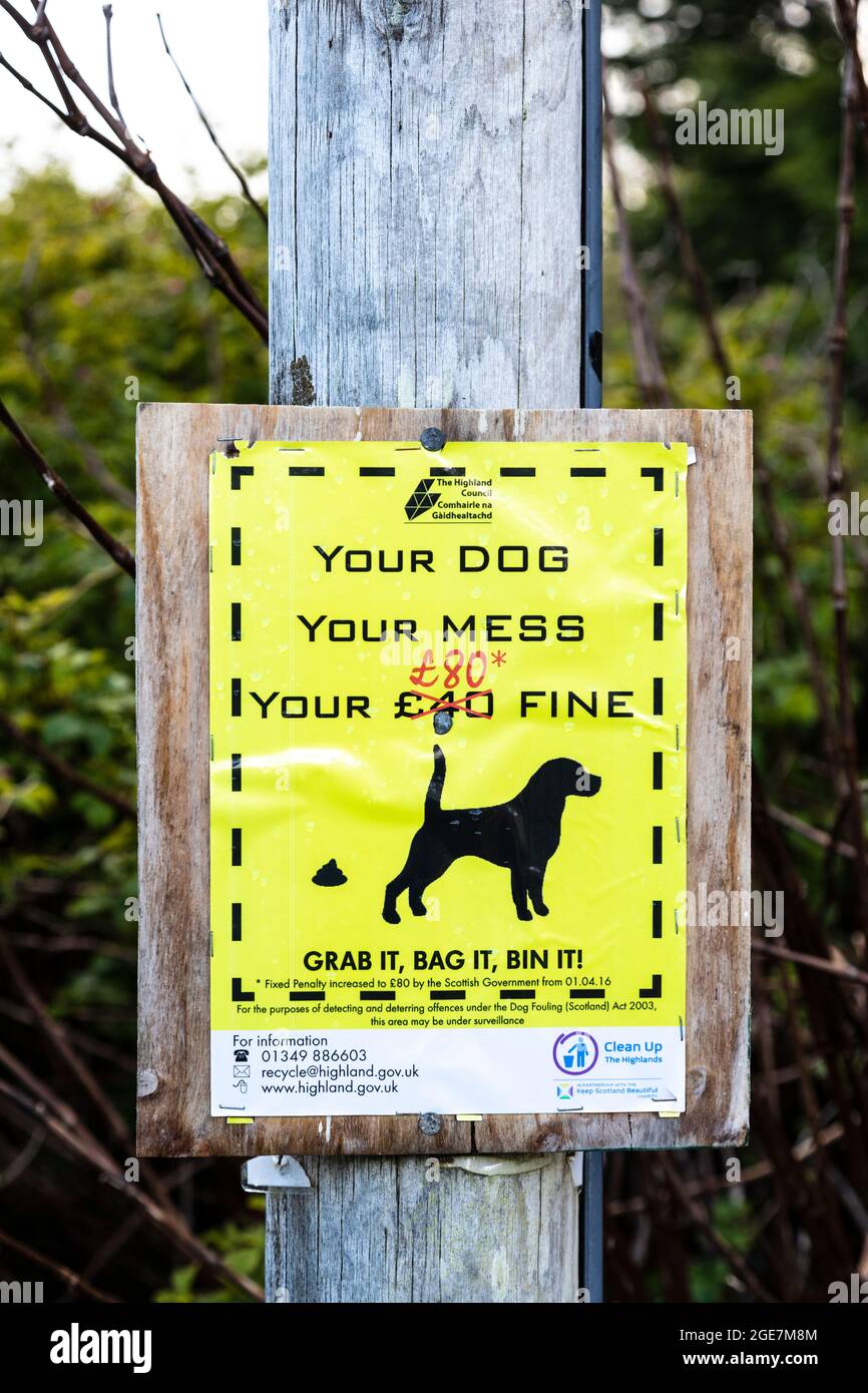 Hi-Viz yellow sign warning against dog fouling, Isle of Skye, Scotland. Stock Photo
