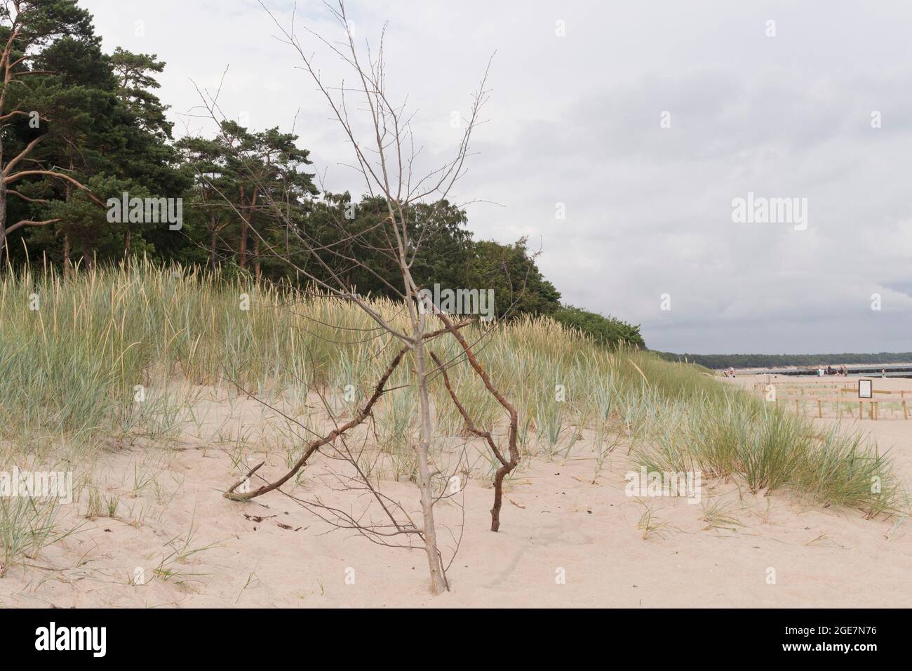 Beautiful white sand beach with clouds in south western part of Sweden. Location is Ystad, Sweden. Stock Photo