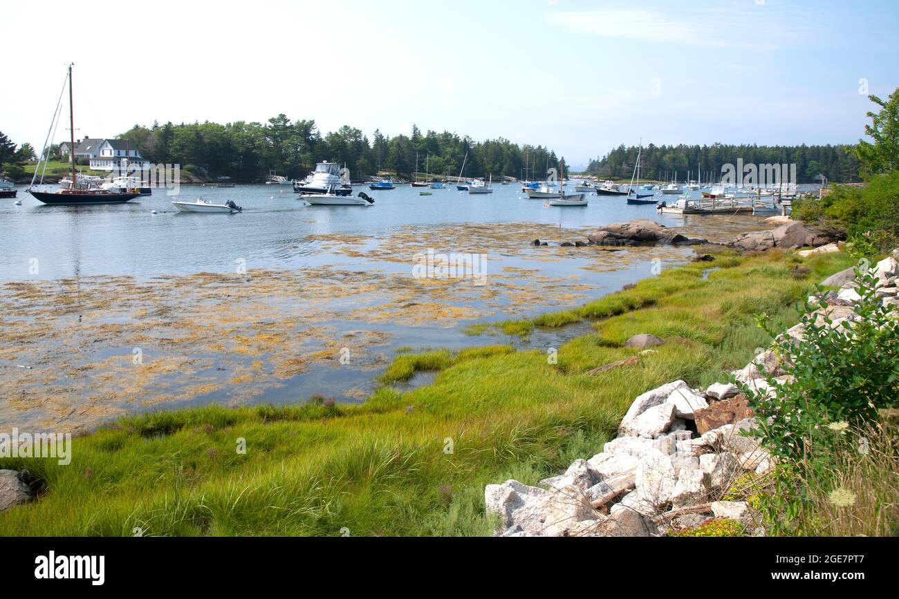 Cozy Harbor in West Southport, Maine, USA on a summer day Stock Photo