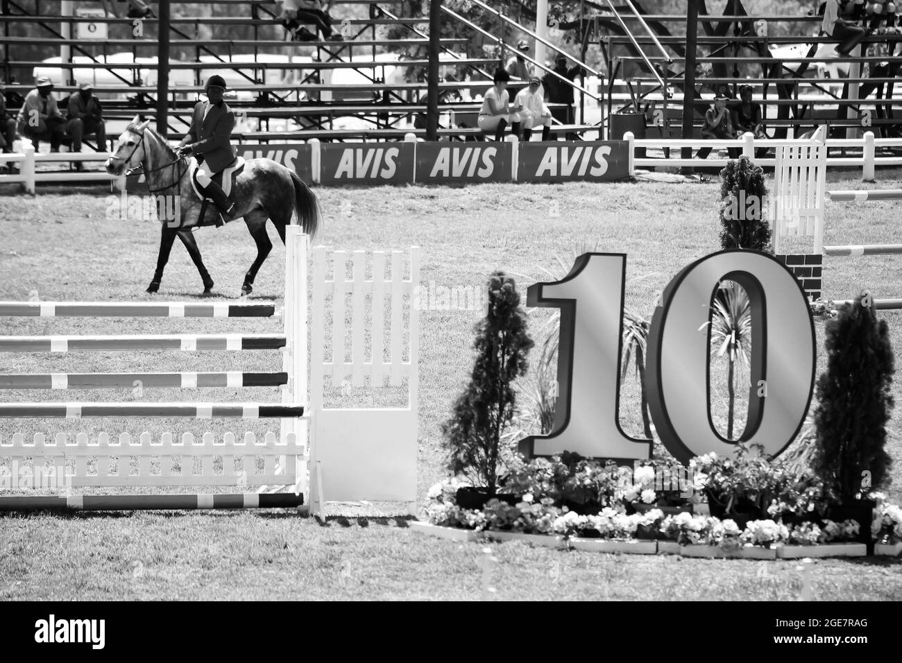 JOHANNESBURG, SOUTH AFRICA Jan 06, 2021 A grayscale of Equestrian