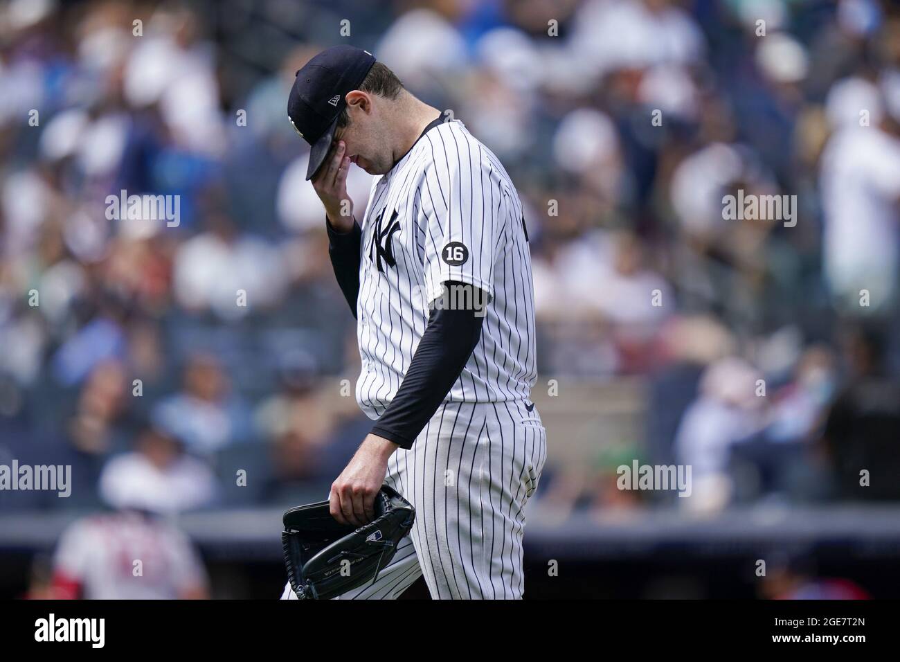 Bronx, United States. 17th Aug, 2021 