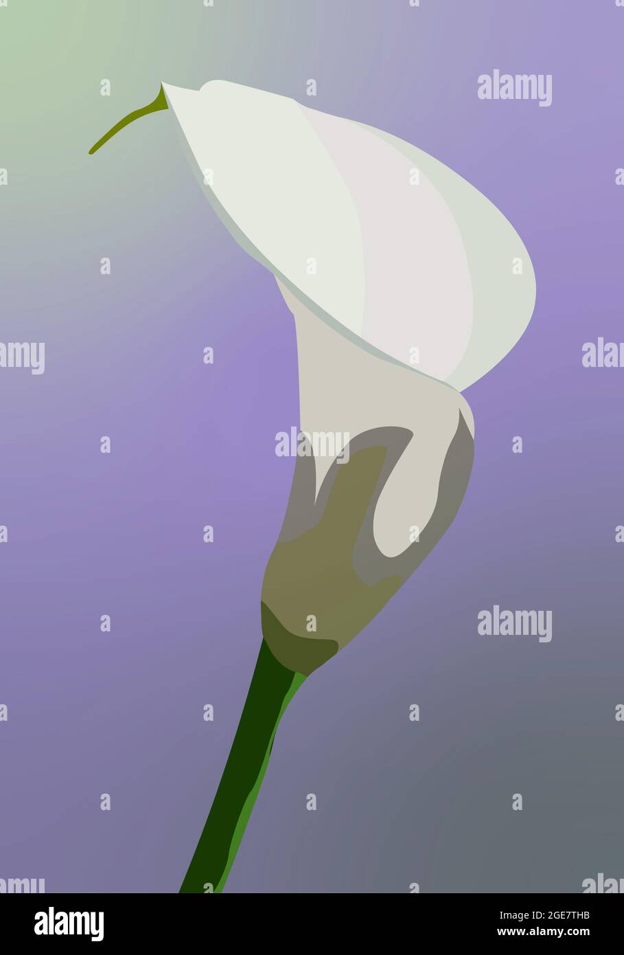 digital wall painting, wall paint, wall art, digital wall art Stock