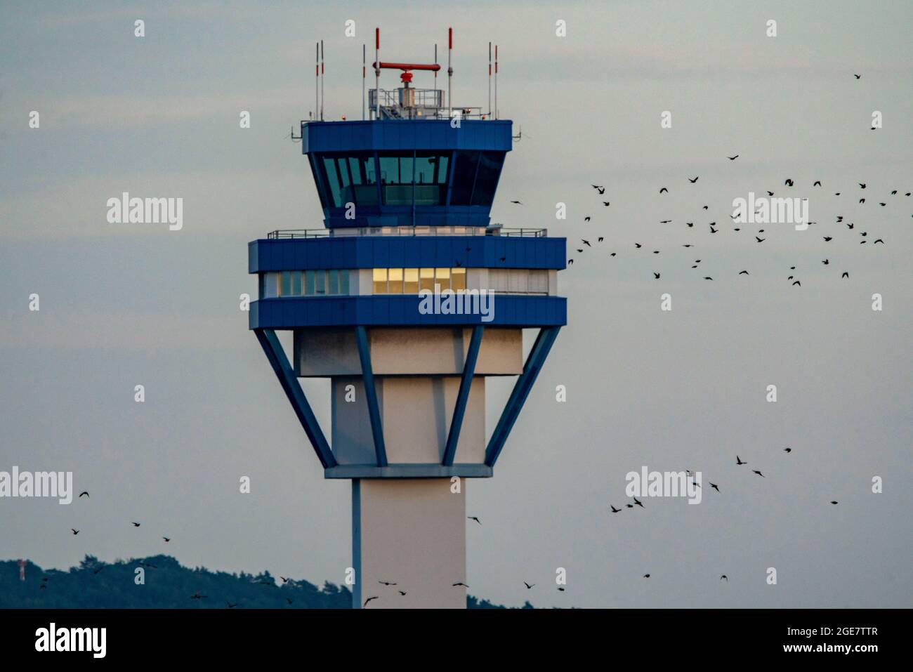 Cologne-Bonn Airport, CGN, tower of the German Air Traffic Control, DFS, workplace of the air traffic controllers, flock of birds, NRW, Germany, Stock Photo