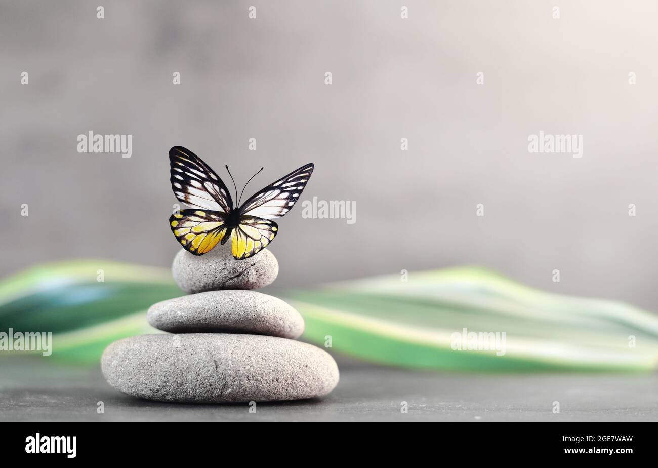 Spa stones with palm leaf and butterfly on grey background. Spa concept ...