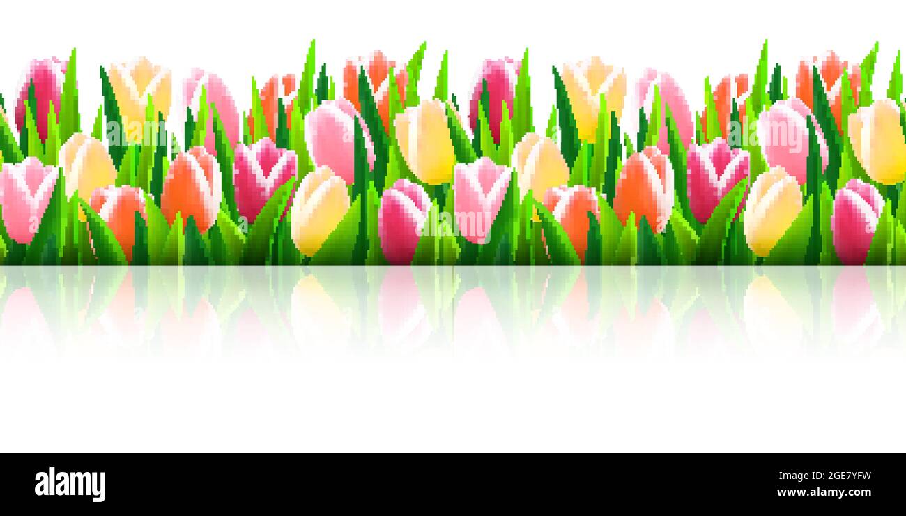 Set of seamless borders with fresh green grass and flowers Stock Vector ...