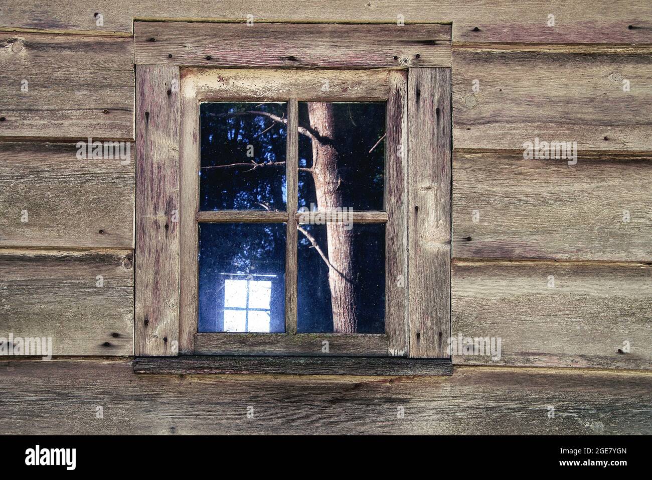 tree reflection in window of an old wooden cabin Stock Photo