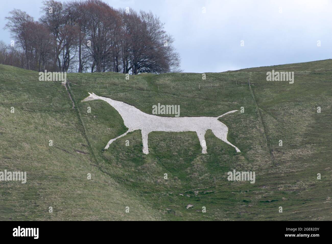 AVEBURY, UNITED KINGDOM - Apr 30, 2016: One of the many white horses that are carved in Wiltshire's countryside. Stock Photo