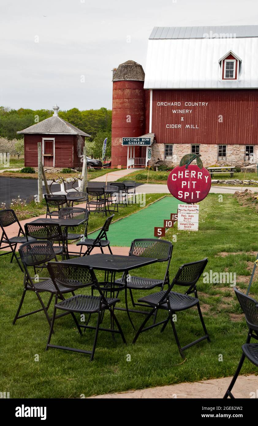 A popular activity at Lautenbach Orchard is their Cherry Pit Spit competition, but visitors can can also see who spits the furthest. Stock Photo