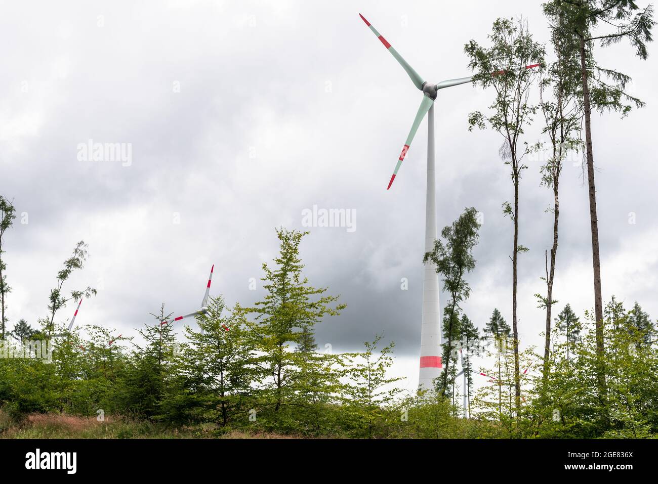 Wind turbines among trees in the countryside on a cloudy summer day Stock Photo