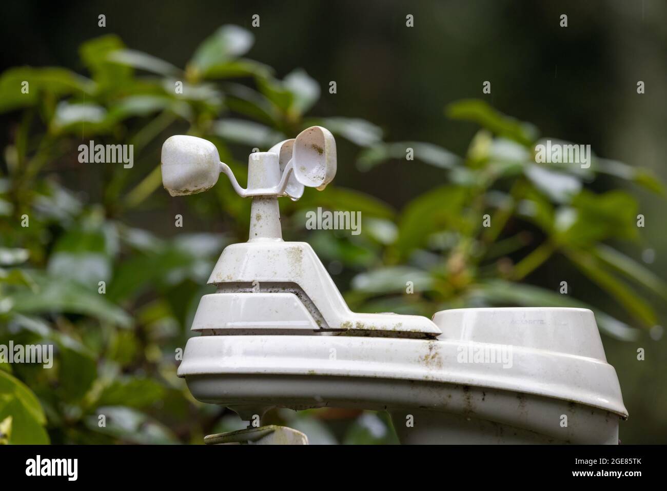 a small modern weather vane in a backyard Stock Photo - Alamy