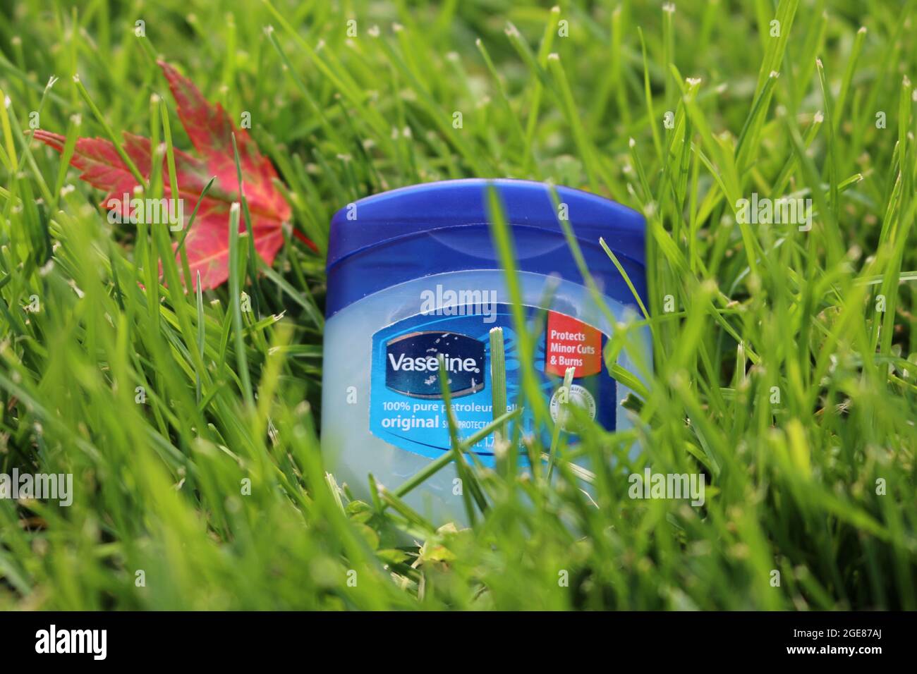 Vaseline in the grass Stock Photo