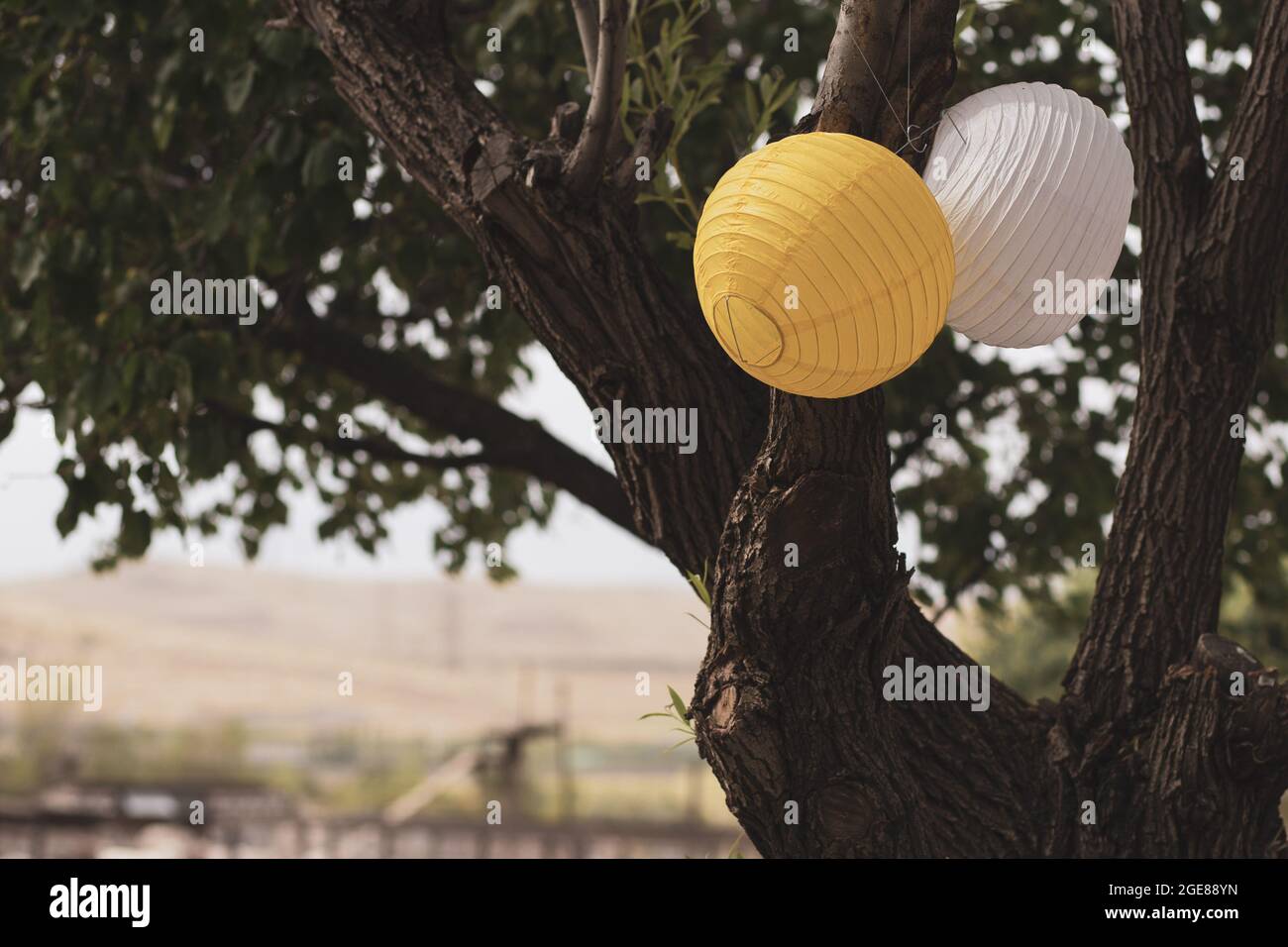View at two Chinese paper lanterns hanging on a tree Stock Photo - Alamy