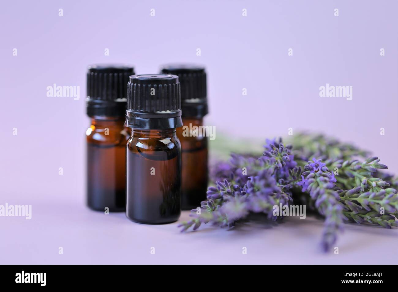 Lavender essential oil.Three brown glass pharmacy jars with lavender oil and lavender flowers on a lilac background.Organic pure essential oil.  Stock Photo