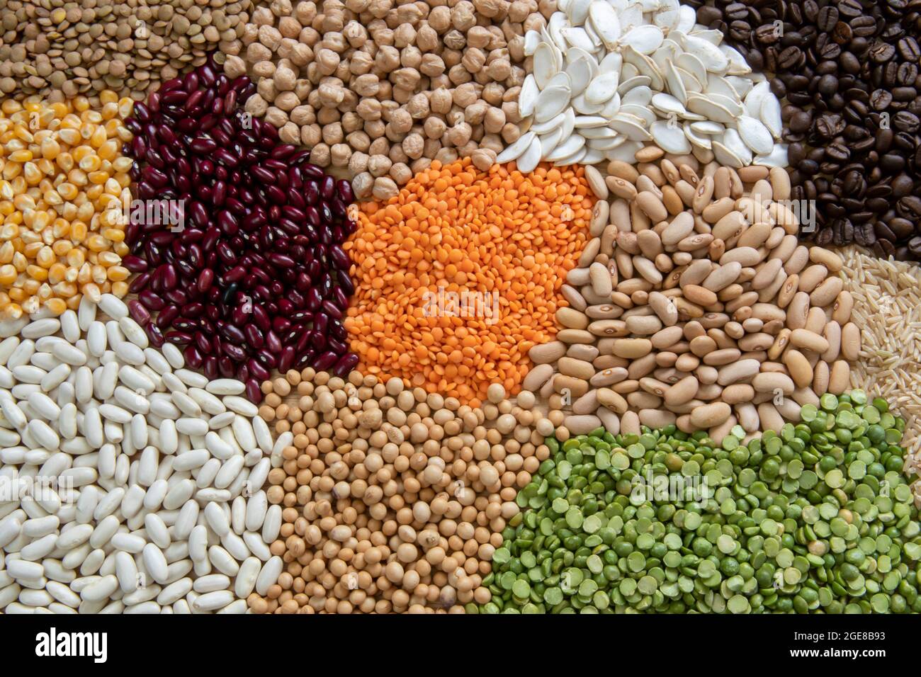 Servings of different varieties of cereals and dry edible seeds