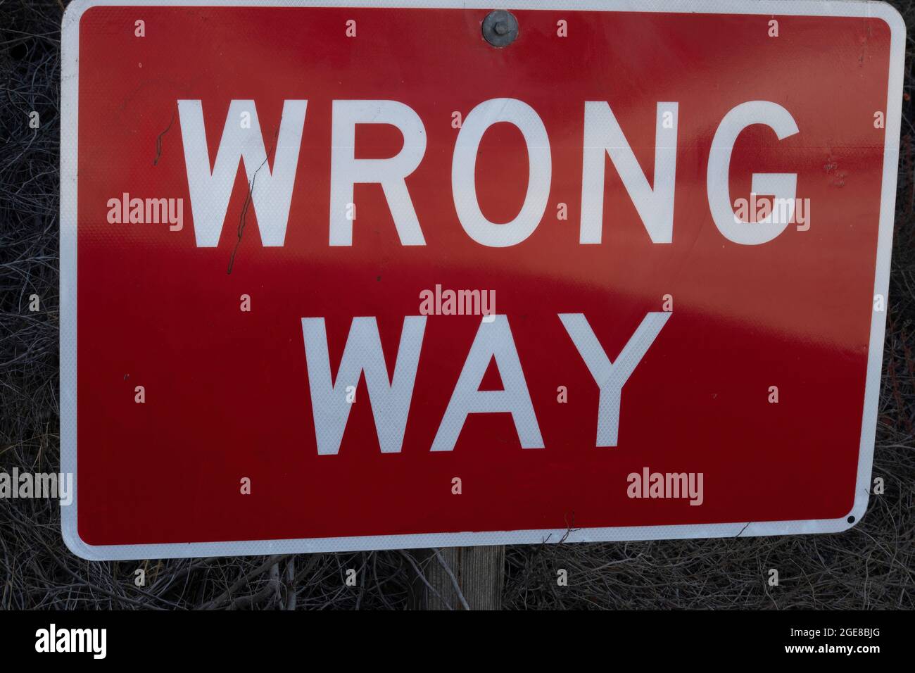 USAストリート看板　WRONG WAY Wrong way sign at side of highway, Utah, USA Stock Photo - Alamy
