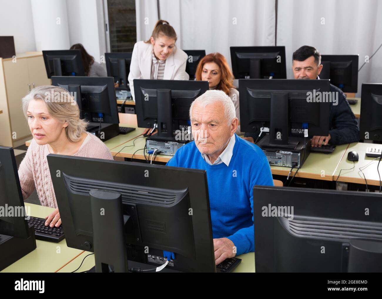 Colleague Computer Young and mature colleagues sitting and working on computers Stock ...