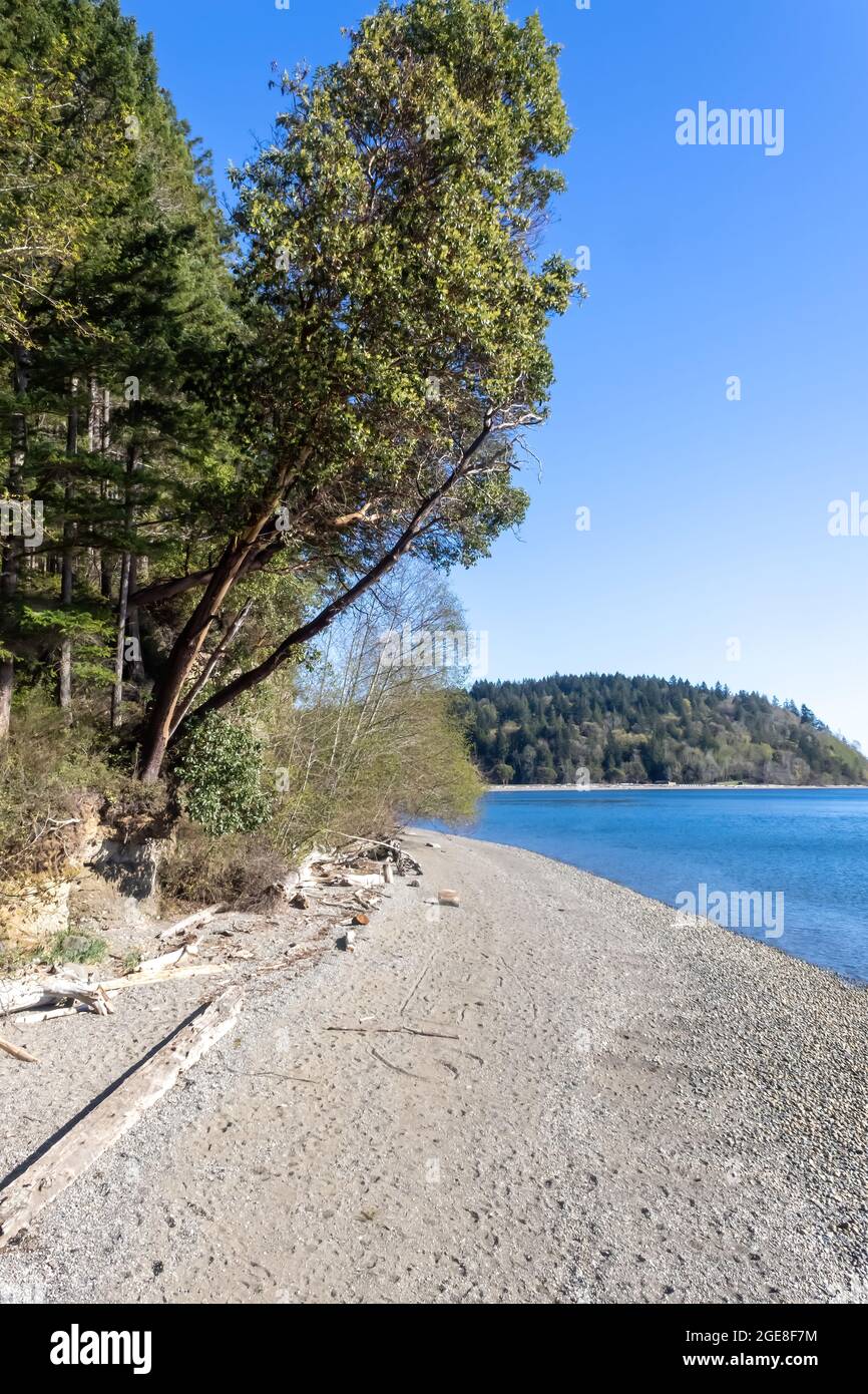 bright clear blue skies over a rocky beach Stock Photo - Alamy
