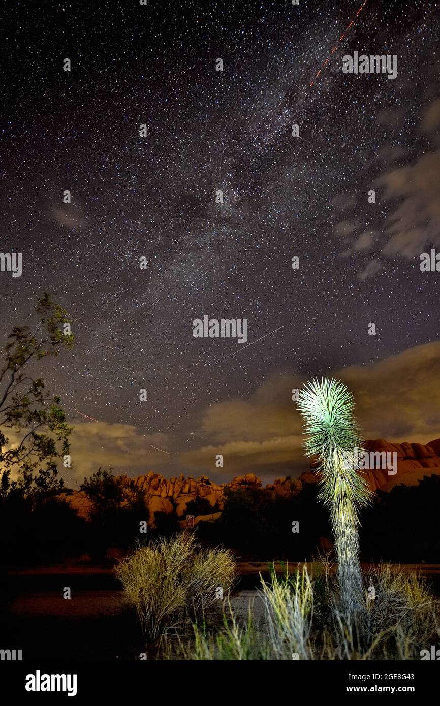 Milky Way and Night Sky over Joshua Tree National Park Stock Photo - Alamy