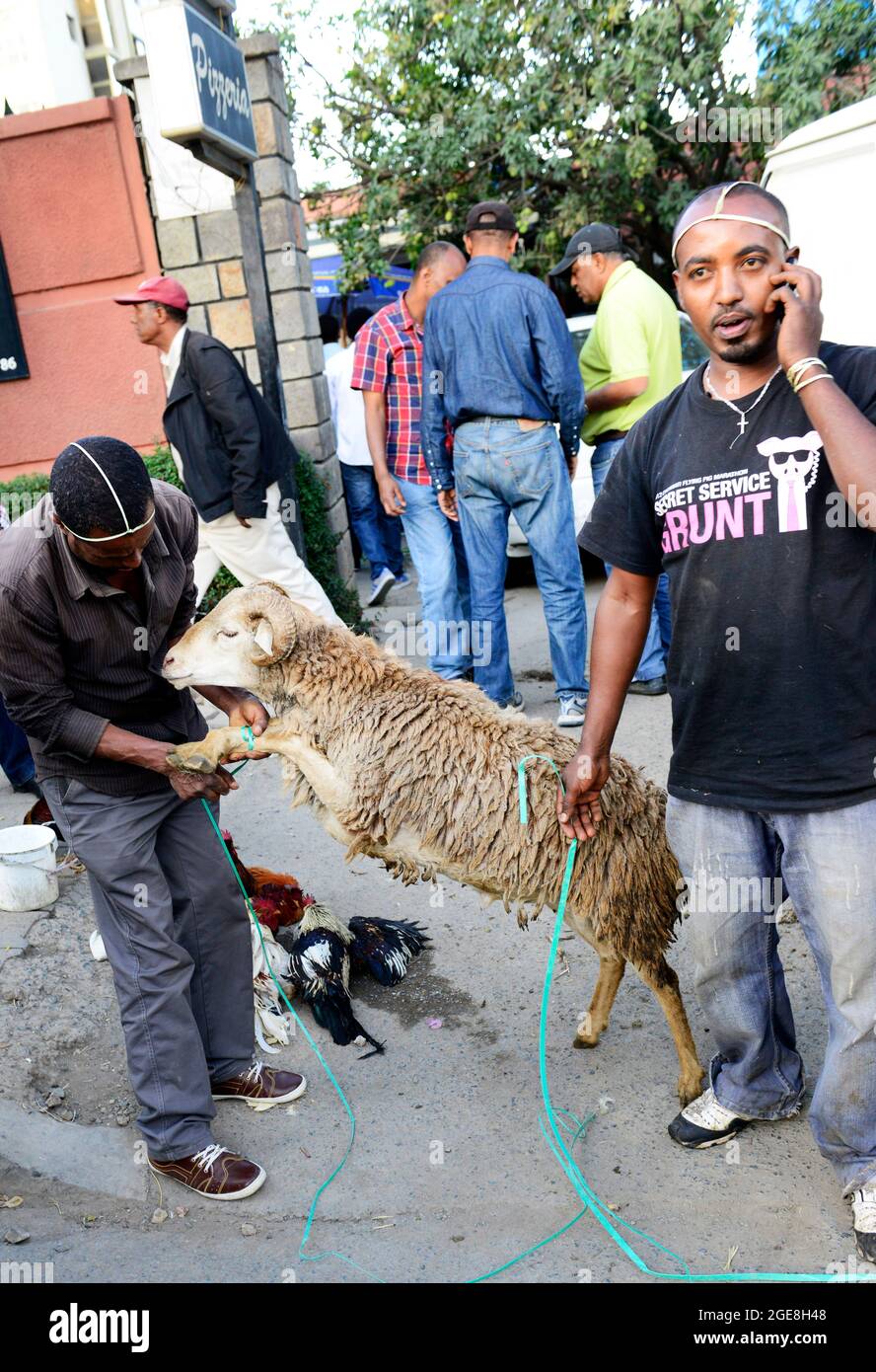 Ethiopian men selling a goat in Addis Ababa, Ethiopia Stock Photo Alamy