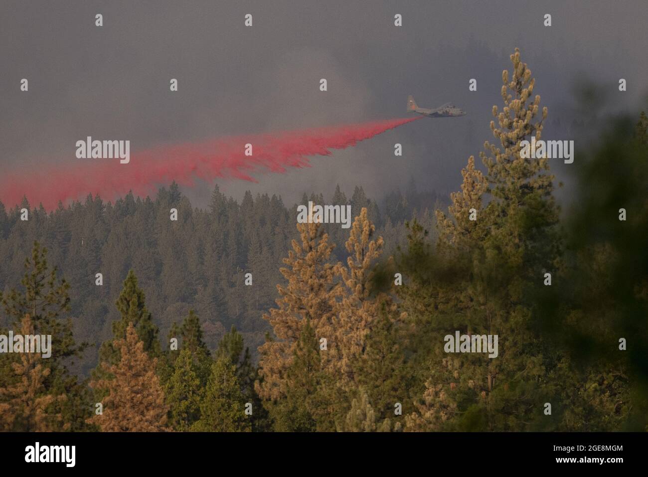 Grizzly Flats, United States. 18th Aug, 2021. An aerial retardant