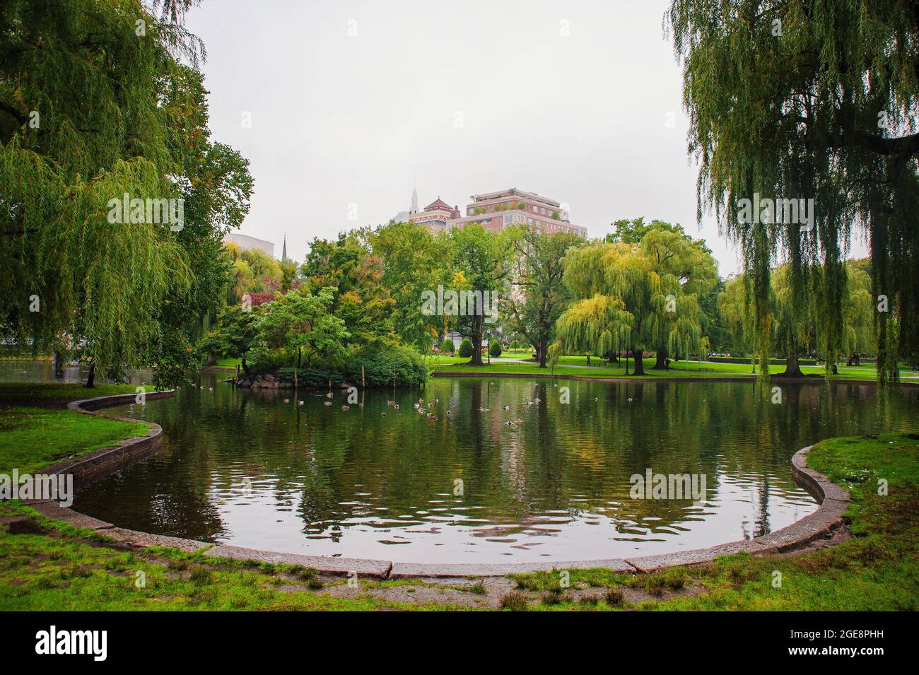 Foliage at Boston Common public park, Fall foggy day in October Stock ...