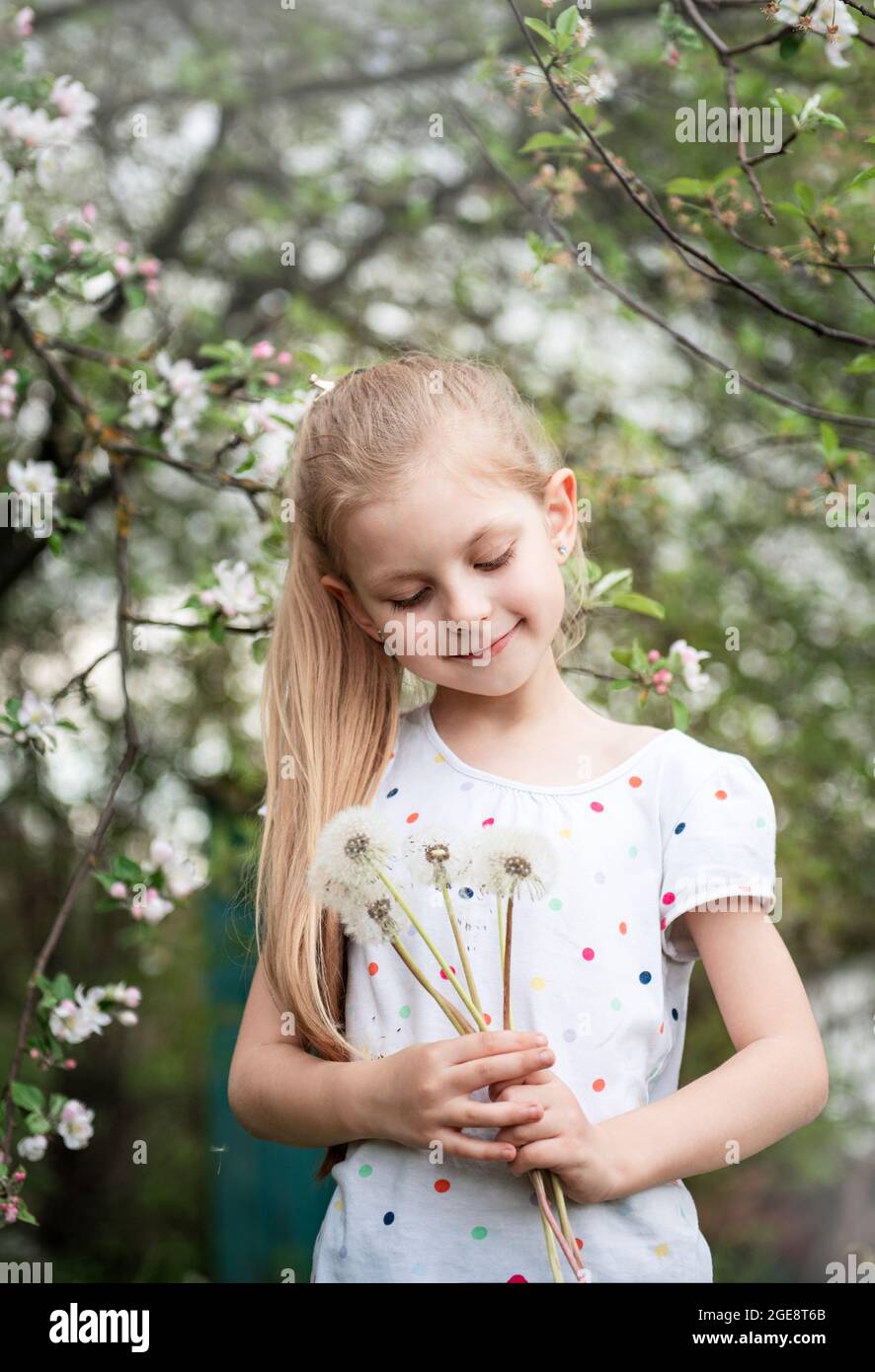 Little girl in a spring garden with white dandelions in her hands Stock ...