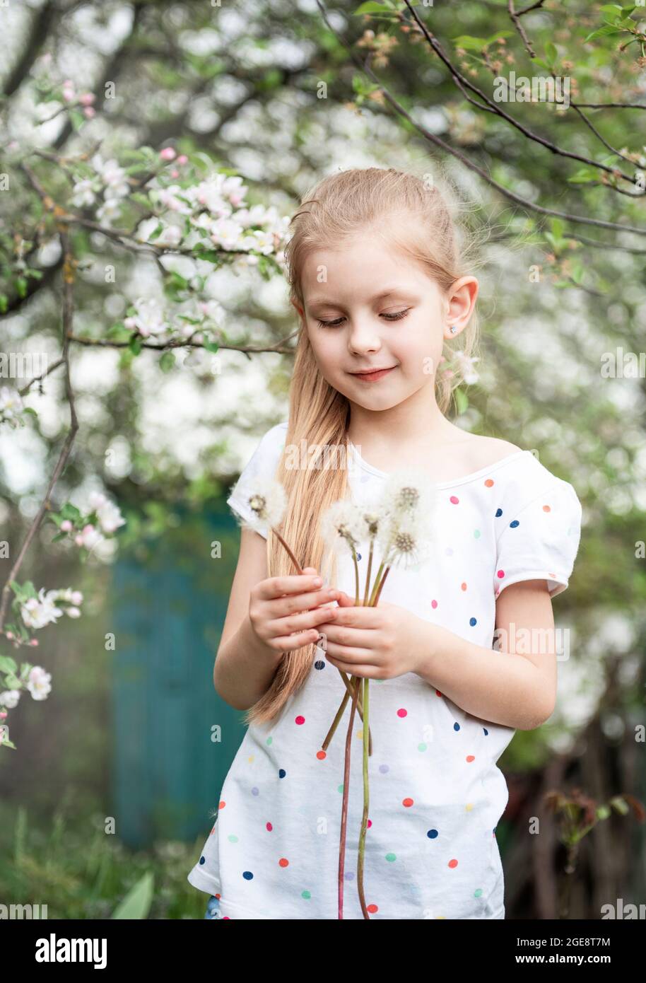 Little girl in a spring garden with white dandelions in her hands Stock ...