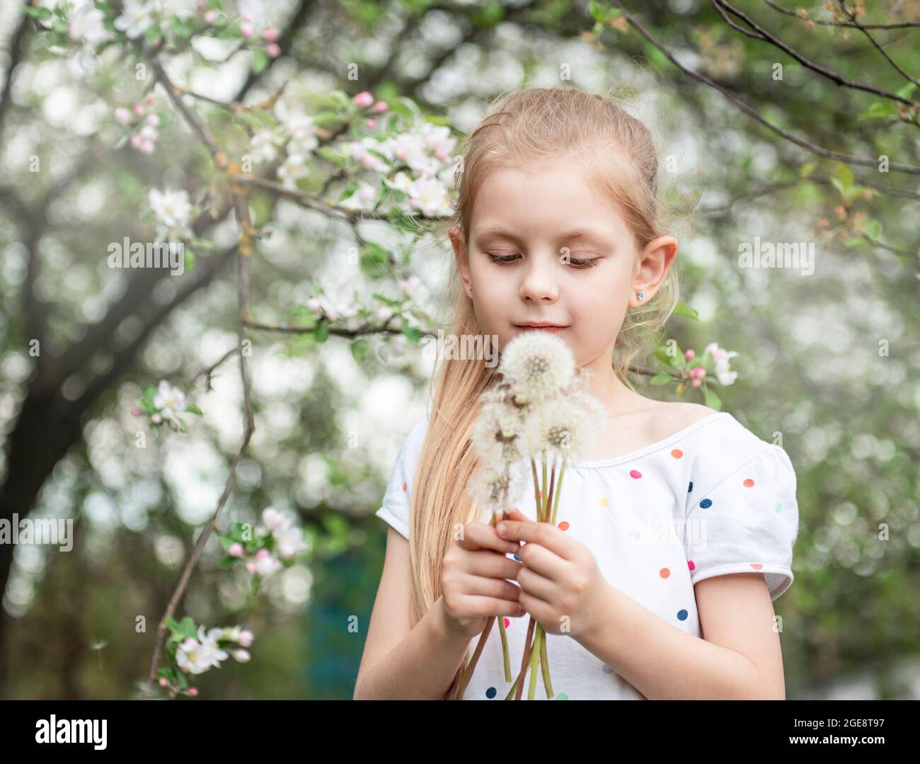 Little girl in a spring garden with white dandelions in her hands Stock ...