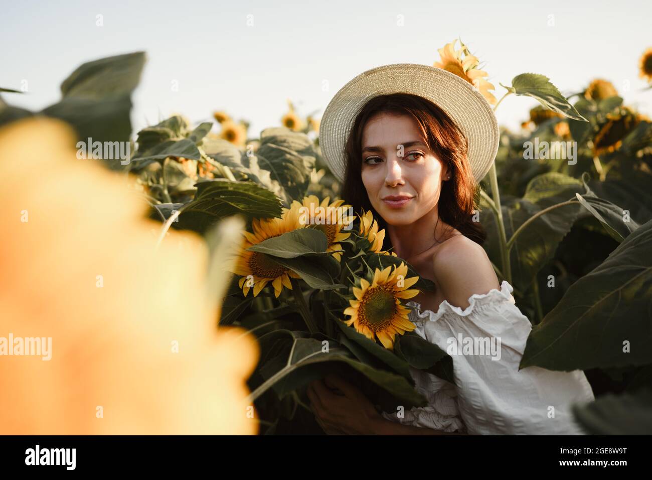 Smiling woman wearing a hat standing in a field of sunflowers in sunset ...