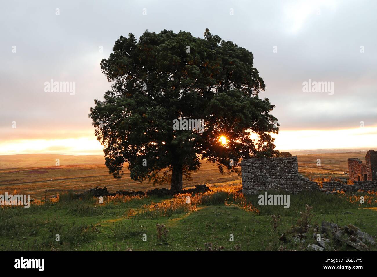 Teesdale, County Durham, UK.  18thth August 2021. UK Weather.  There was a beautiful sunrise to start the day as the sun rose over an old and abandoned farmstead in Teesdale, County Durham, UK. The forecast is for a generally dry day of sunny spells and cloud. Credit: David Forster/Alamy Live News Stock Photo