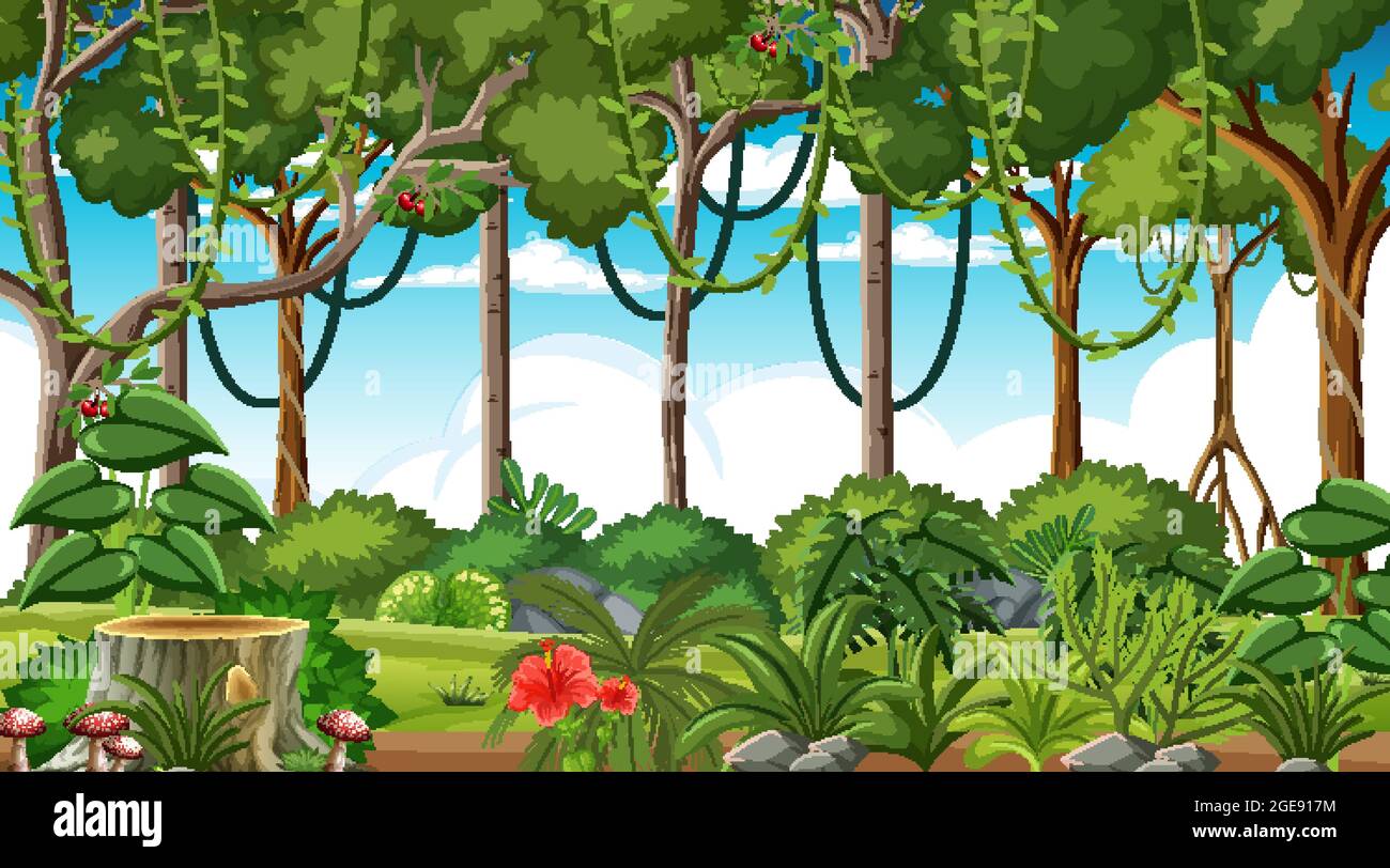 Forest at daytime landscape scene illustration Stock Vector Image & Art ...