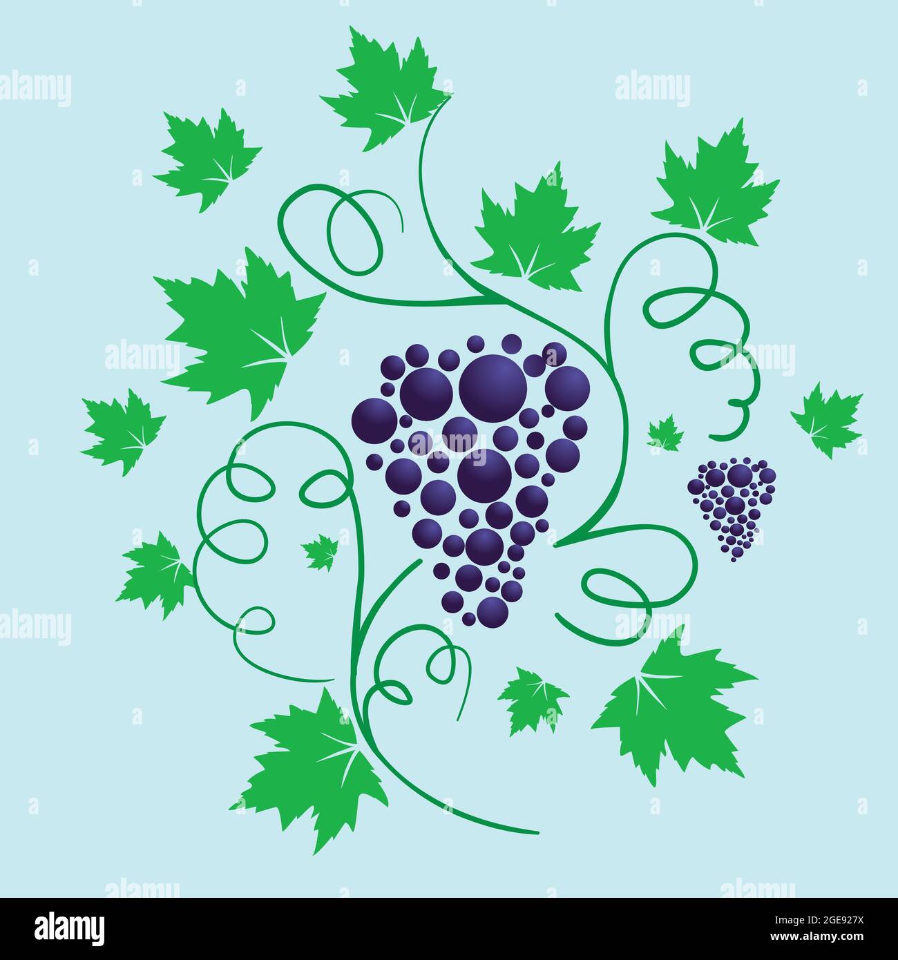 A vector illustration of a grapevine with some leafs and branches. Stock Vector