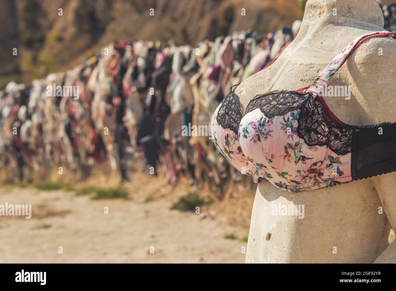 Bras on the fence at New Zealand south island Stock Photo
