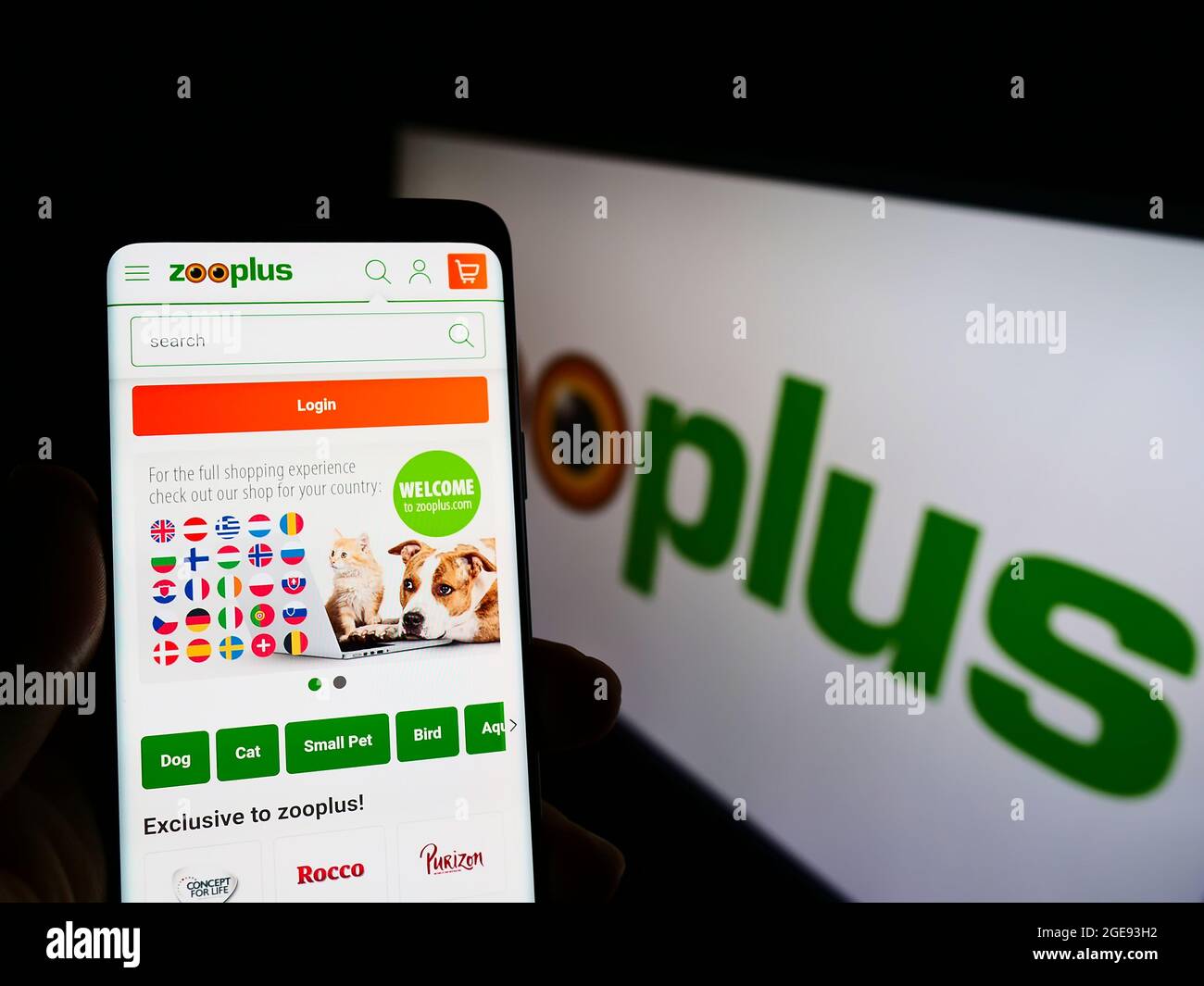 Person holding smartphone with website of German pet food retail company Zooplus AG on screen in front of logo. Focus on center of phone display. Stock Photo
