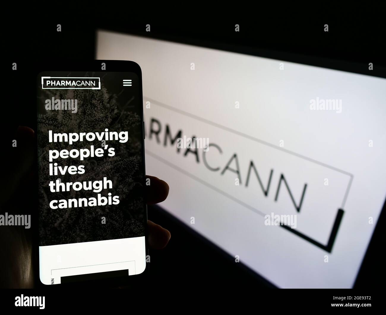 Person holding smartphone with website of US cannabis company PharmaCann Inc. on screen in front of business logo. Focus on center of phone display. Stock Photo