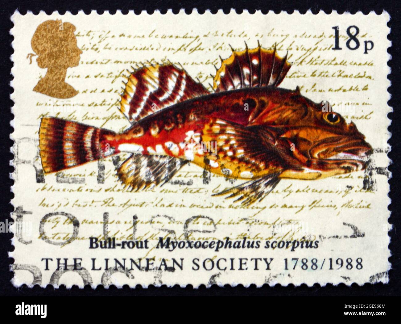 GREAT BRITAIN - CIRCA 1988: a stamp printed in the Great Britain shows Bull-rout Fish, Myoxocephalus Scorpius, Linnean Society of London, 200th Annive Stock Photo