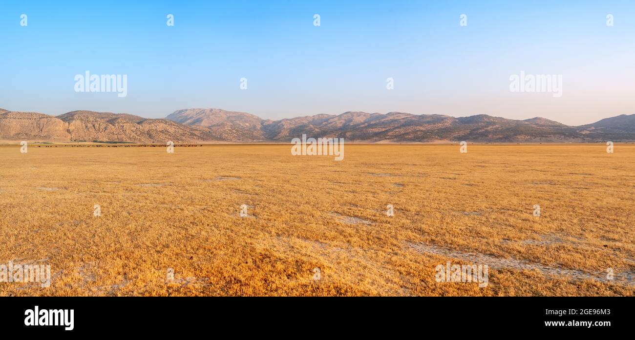 Grasslands of Dasht Arjan. wide panorama with autumn grass field and mountains in background at evening time, Typical autumnal scenery of Fars Provinc Stock Photo