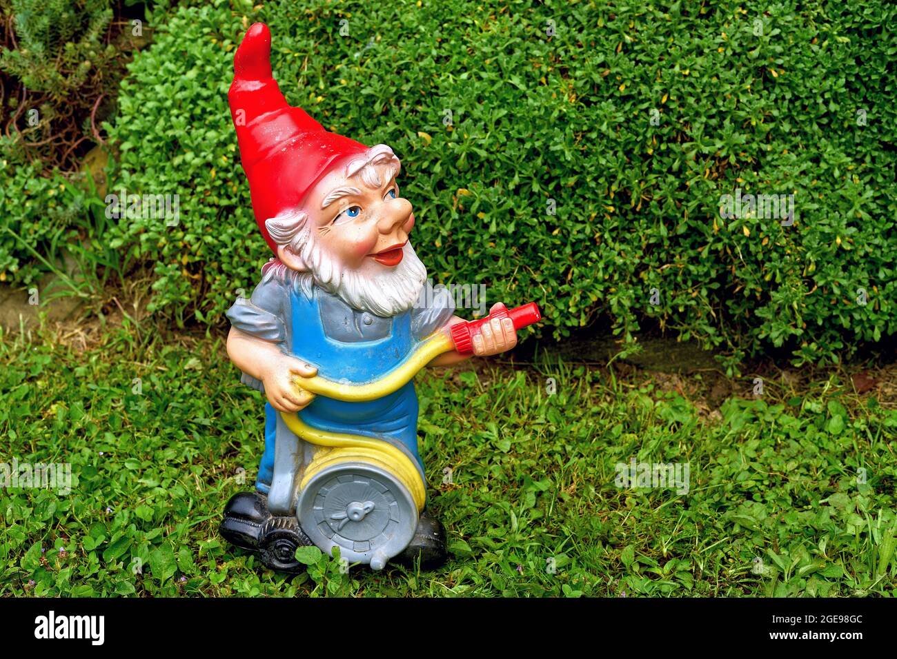 Garden gnome with a water hose reel in home garden Stock Photo