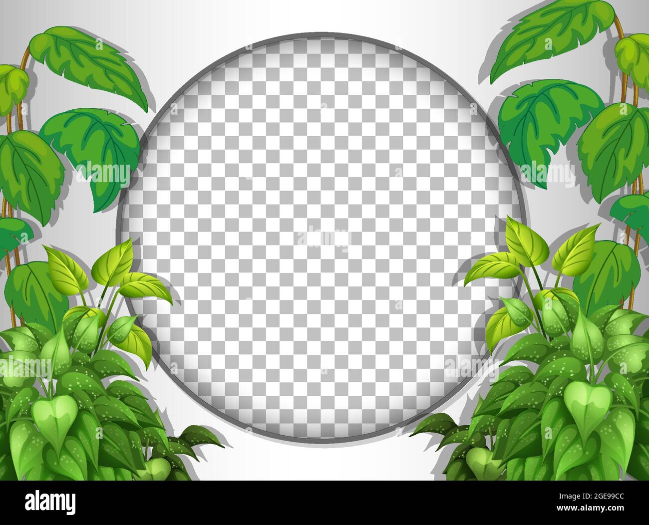 Round frame transparent with tropical leaves template illustration ...
