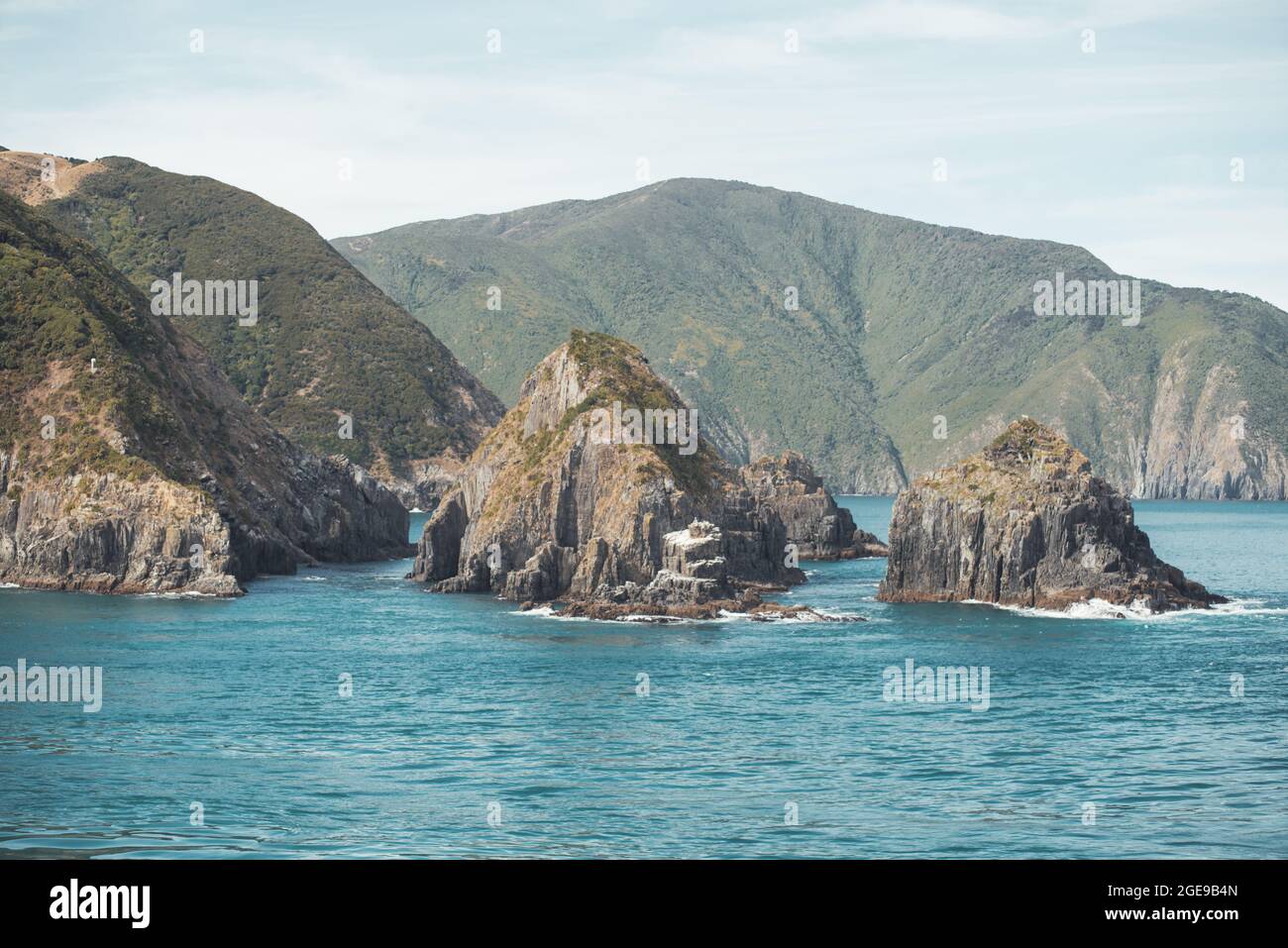 New Zealand south island view from the ferry Stock Photo - Alamy