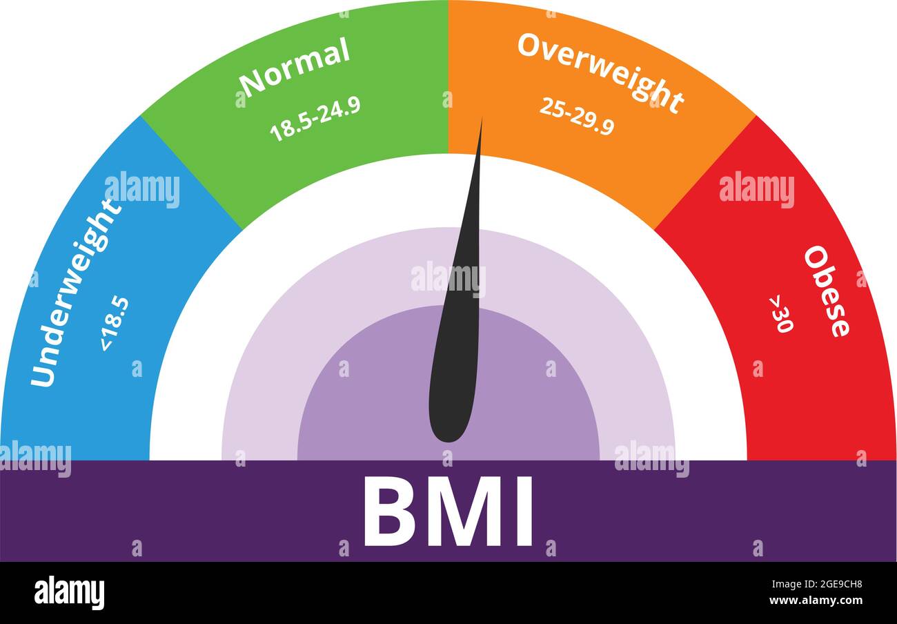 BMI chart, scale, vector illustration. Body mass index meter, weight  control measurement tool Stock Vector Image & Art - Alamy