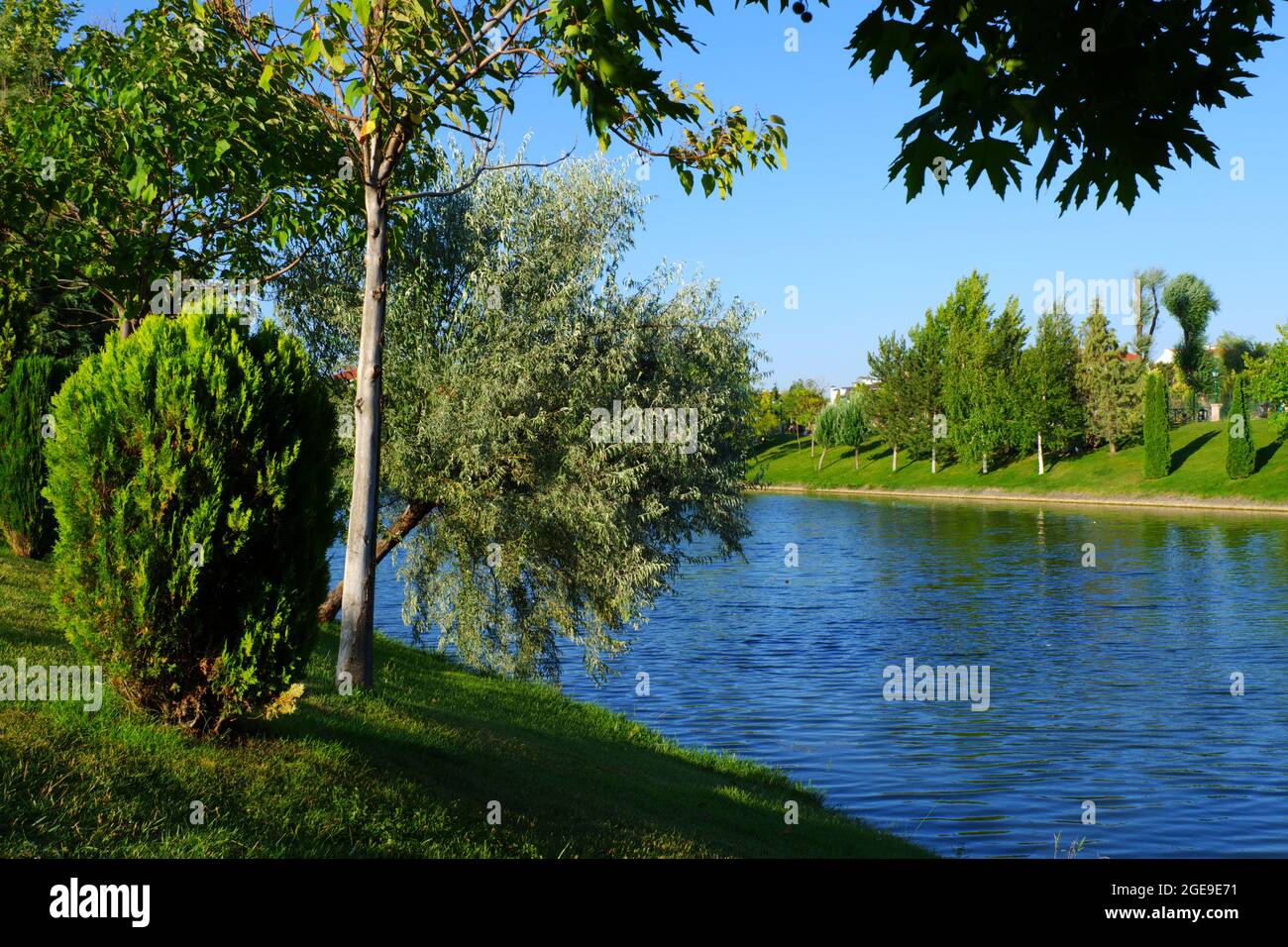 Green Riverside with Trees and Grass Stock Photo