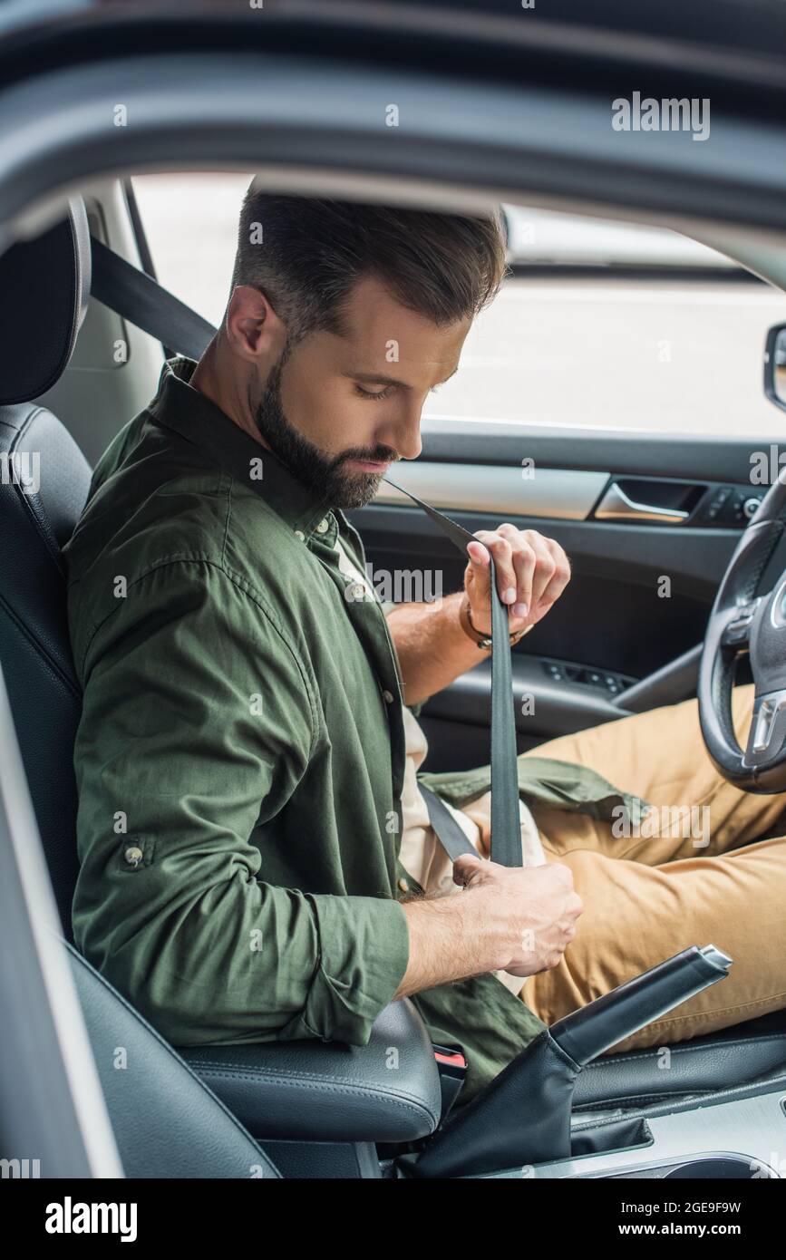 Side view of driver holding safety belt in car Stock Photo Alamy