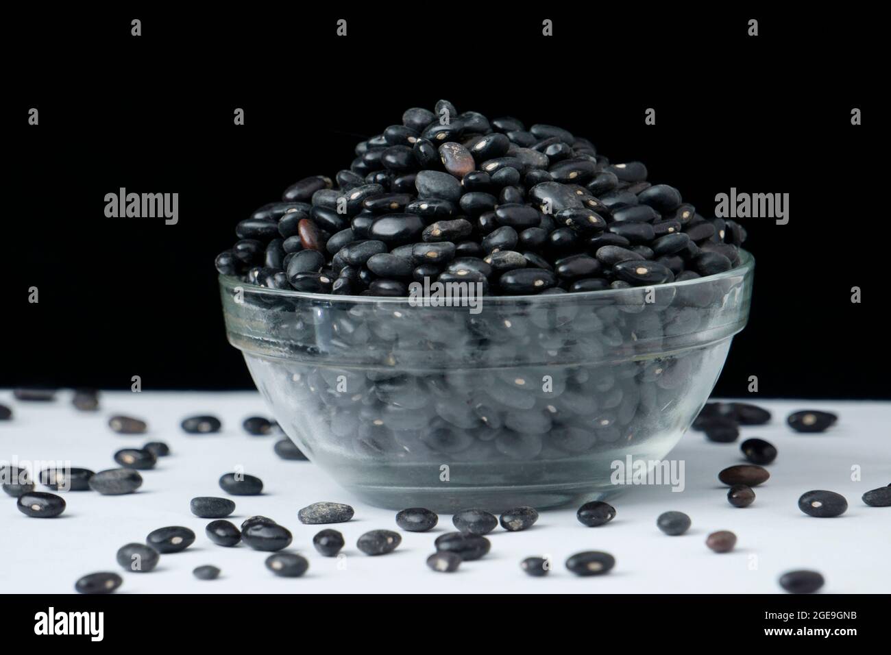 Black turtle bean, Phaseolus vulgaris, Satara, Maharashtra, India Stock Photo