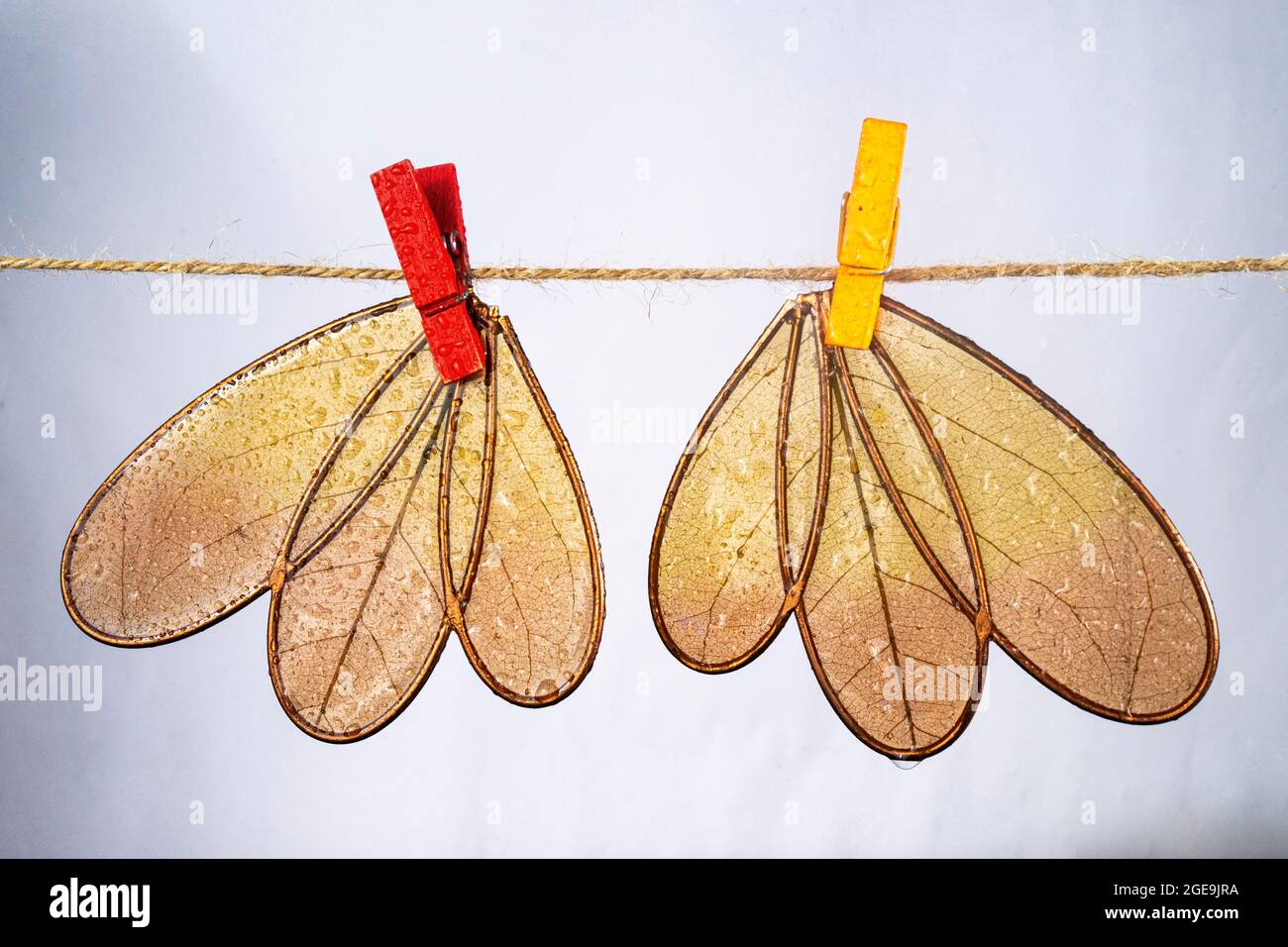 Wet dragonfly wings, made from wire, hanging to dry on a jute rope
