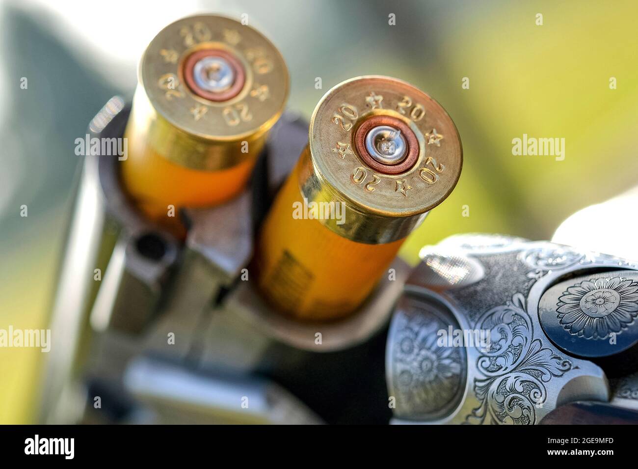 Over and Under12 bore shotgun loaded Stock Photo - Alamy