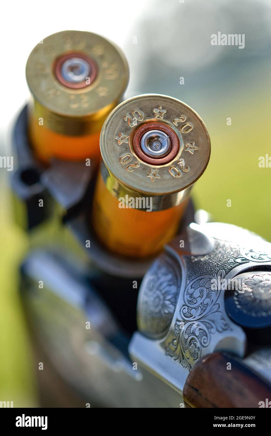 Over and Under12 bore shotgun loaded Stock Photo - Alamy