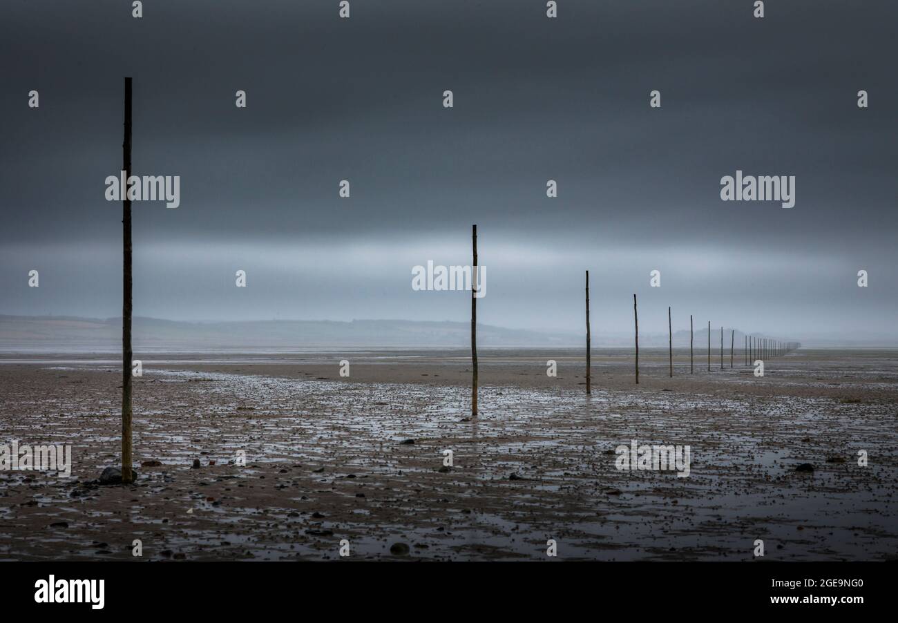 Marker posts on the Pilgrim's Way across Lindisfarne bay. Stock Photo