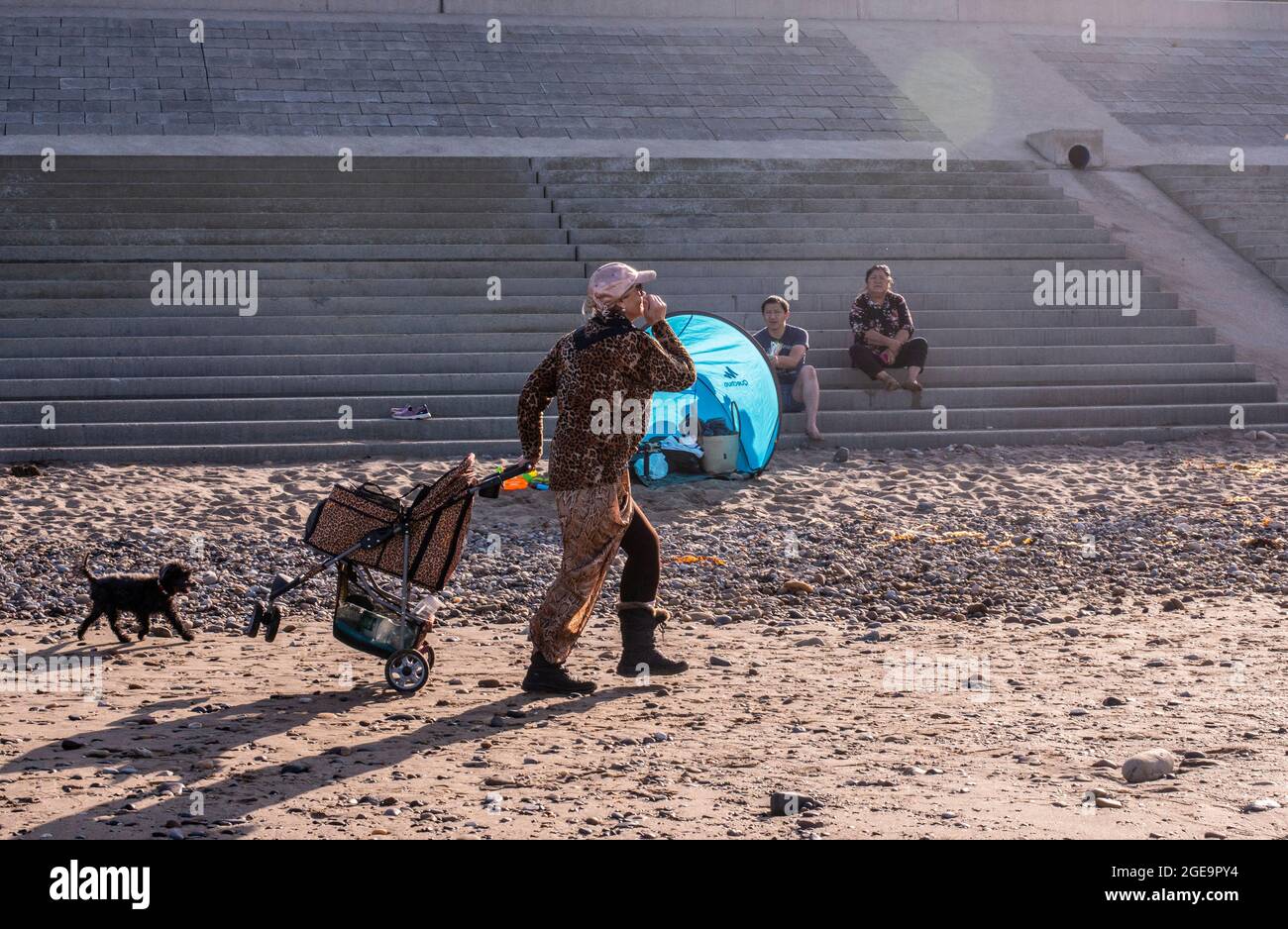 Woman with dog and pet pushchair on beach in Whitby in England. Stock Photo